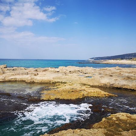 Travel Hotel Gesher Haziv エクステリア 写真